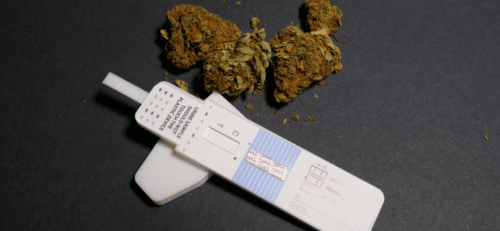 Marijuana cannabis thc test